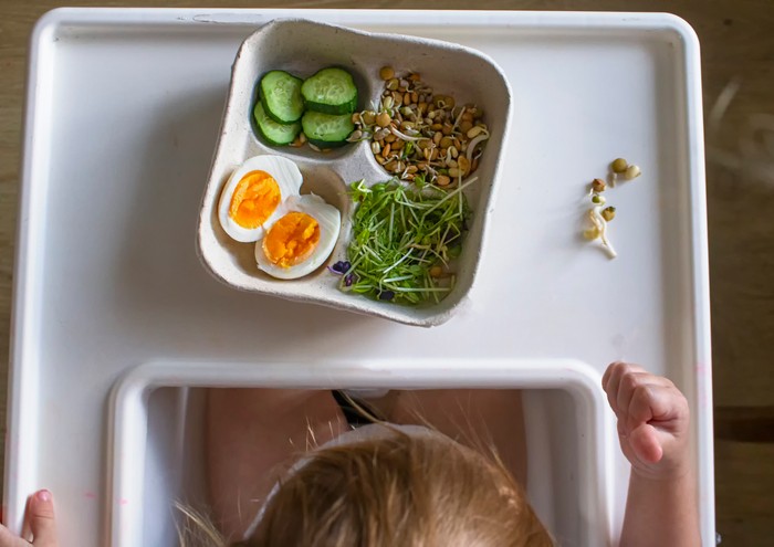 A small child at the children's table is going to eat healthy food from sprouted grains and eggs. Vegetarian food microgreens for the little ones. Vitamins and minerals in food. Top view A small child at the children's table is going to eat healthy food from sprouted grains and eggs. Vegetarian food microgreens for the little ones. Vitamins and minerals in food. Top view