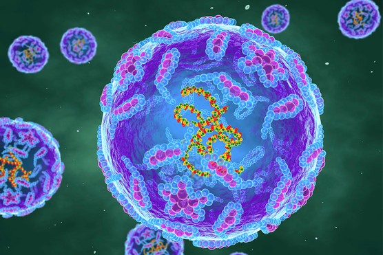 image of polio virus