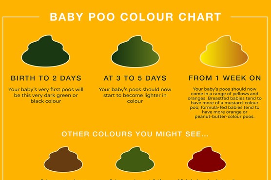 part of a chart showing a guide to the colours of baby poo