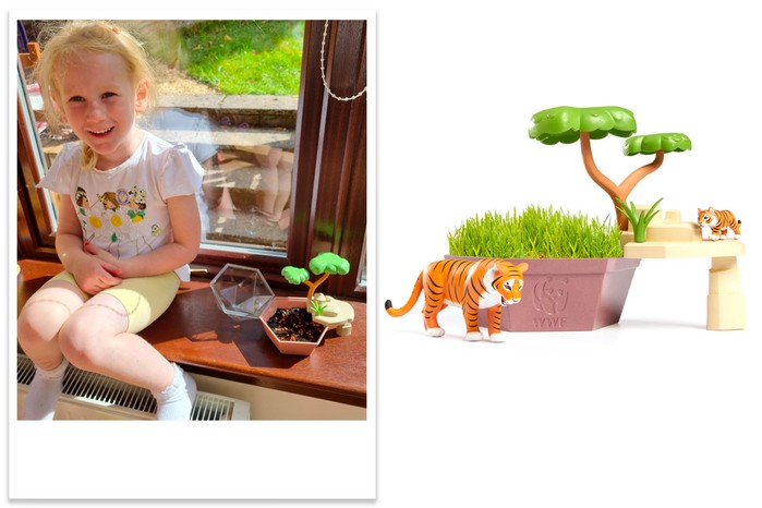 WWF wild scenes tiger's hangout being tested by a child